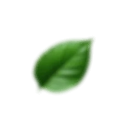 Botanical leaf representing the plant extracts in MindWake